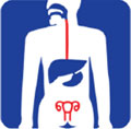 經(jīng)自然腔道解決方案